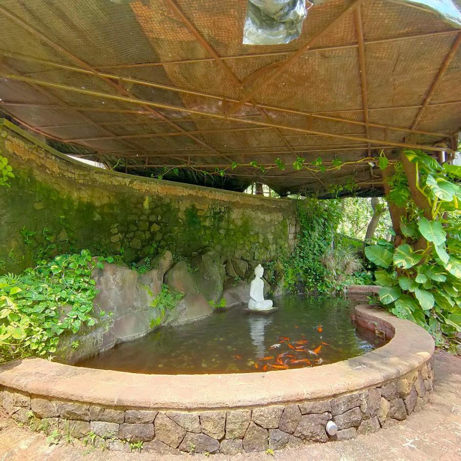 Silverador Resort ธาเน ภายนอก รูปภาพ